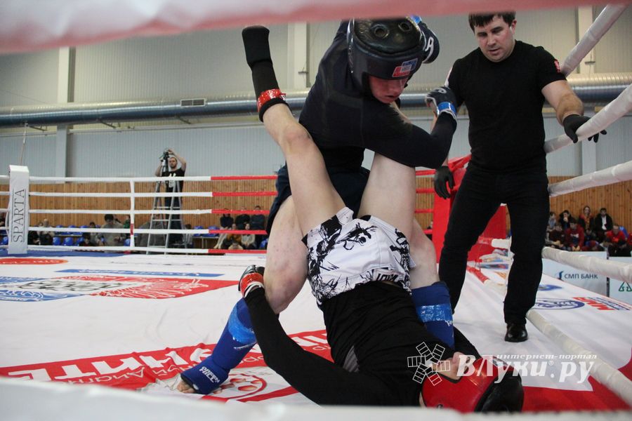 Открытый кубок по смешанному боевому единоборству ММА прошел в Великих Луках (ФОТО)