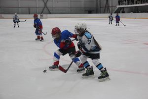 Детский турнир по хоккею прошел в Великих Луках (ФОТО)