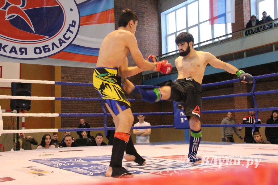 В Великих Луках прошел международный открытый Кубок по смешанному боевому единоборству (ФОТО) (16+)