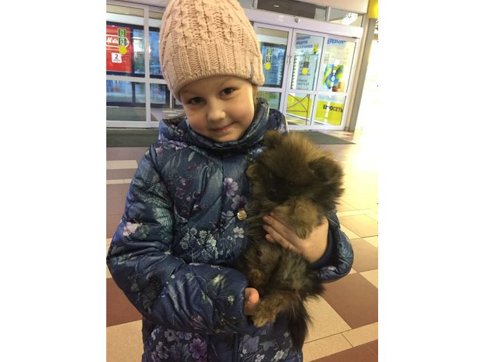 Объявляем победителей фотоконкурса «Косточка к Новому году» (ФОТО)