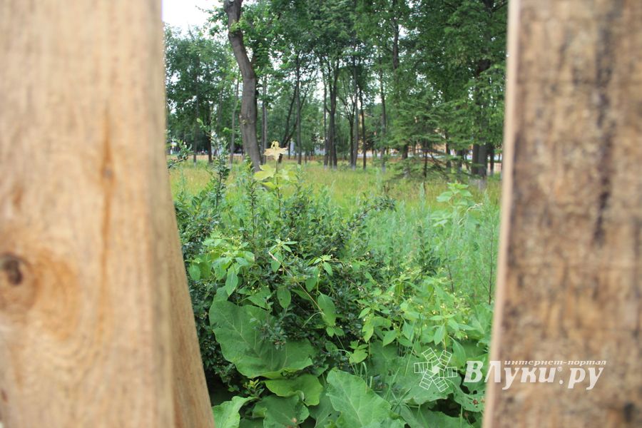 Великолукский парк – в ожидании подрядчика (ФОТО)