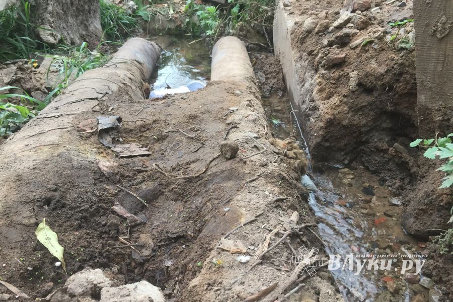 В Великих Луках забил «гейзер», по словам коммунальщиков, «рядовая ситуация» (ФОТО+ЗВУК)