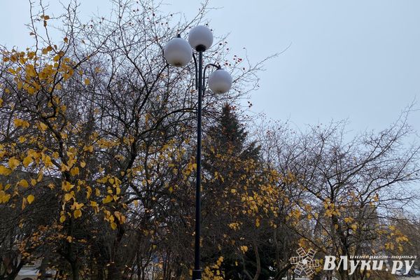 В ноябре в Псковской области будет теплее и дождливее, чем обычно