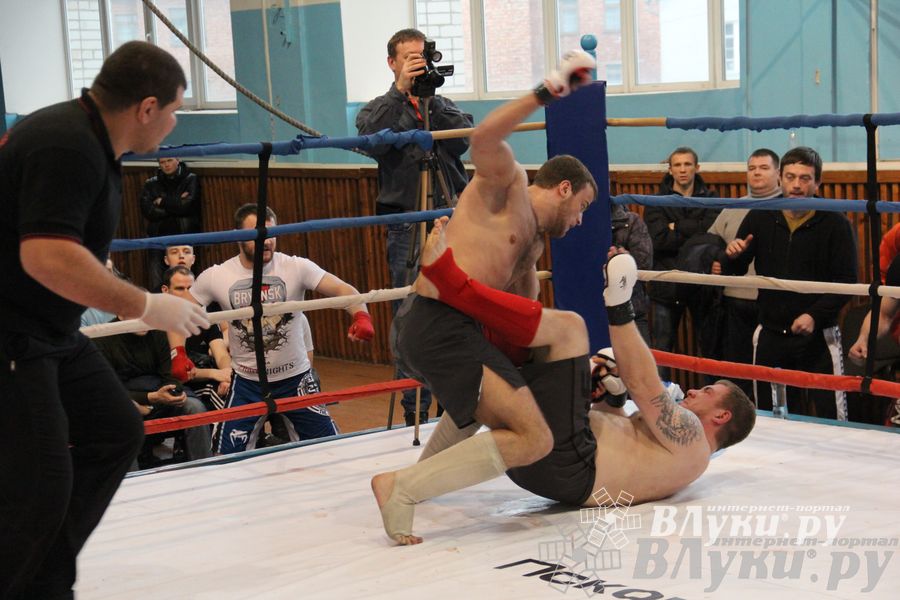 Открытый Кубок города Великие Луки по смешанному боевому единоборству (ММА)