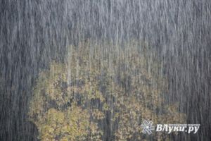 © ВЛуки.ру