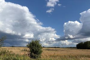 © ВЛуки.ру
