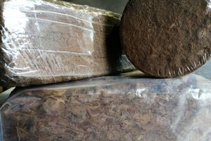 © ВЛуки.ру/Ирина Ловчая