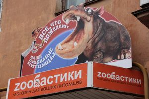 «Zooбастики»: подарите праздник своим любимцам! (ФОТО+ВИДЕО)