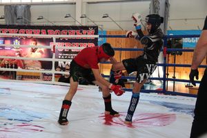 В Великих Луках завершился открытый кубок по смешанному боевому единоборству ММА (ФОТО)