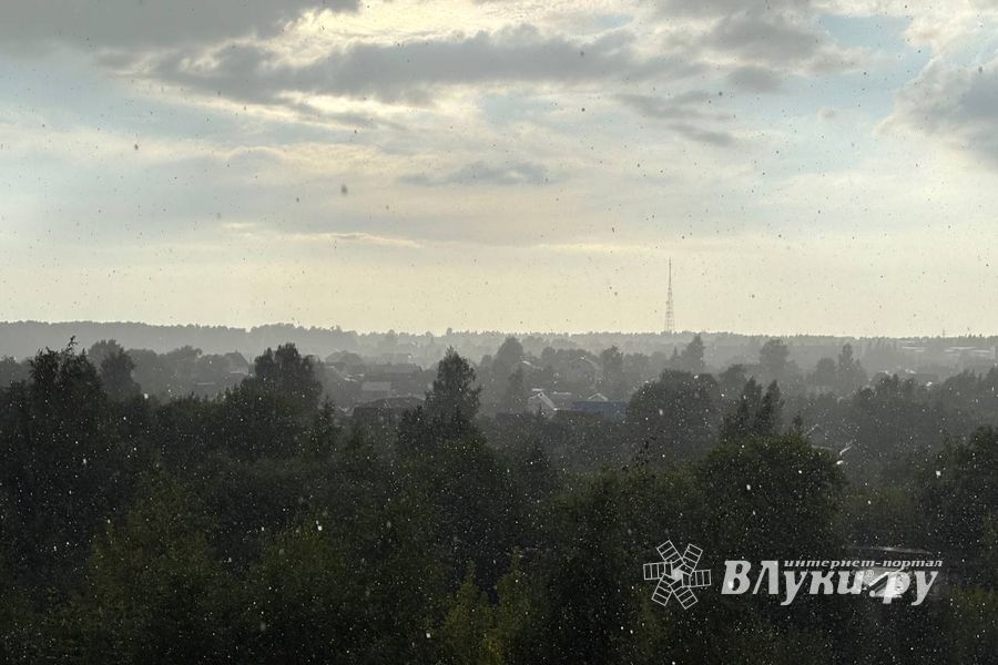 ВЛуки.ру