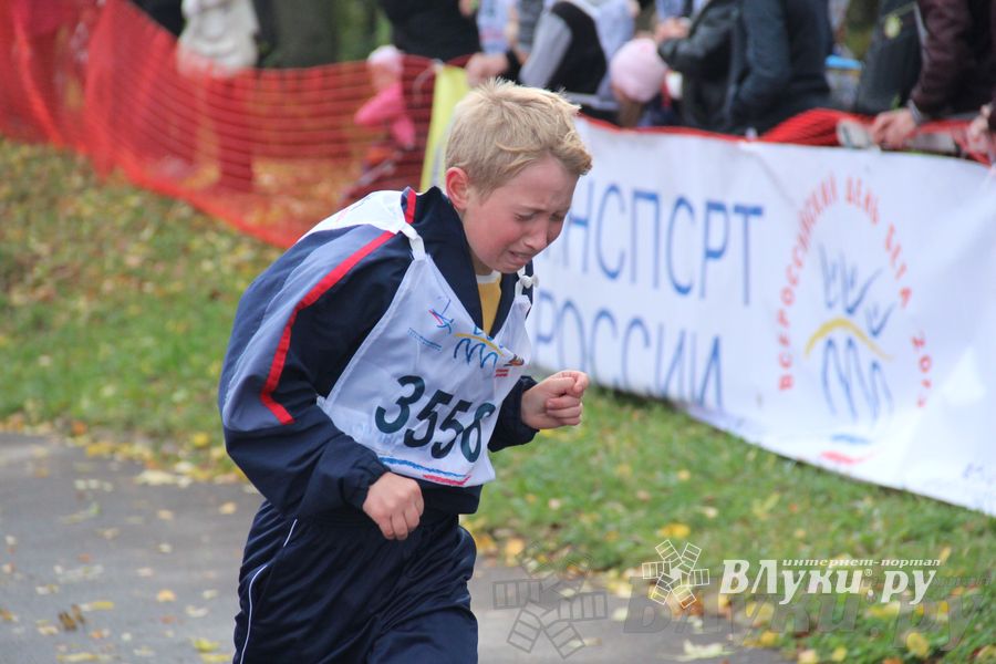 Кросс нации