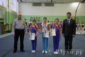 В Великих Луках прошло Первенство Области по спортивной гимнастики (фото)