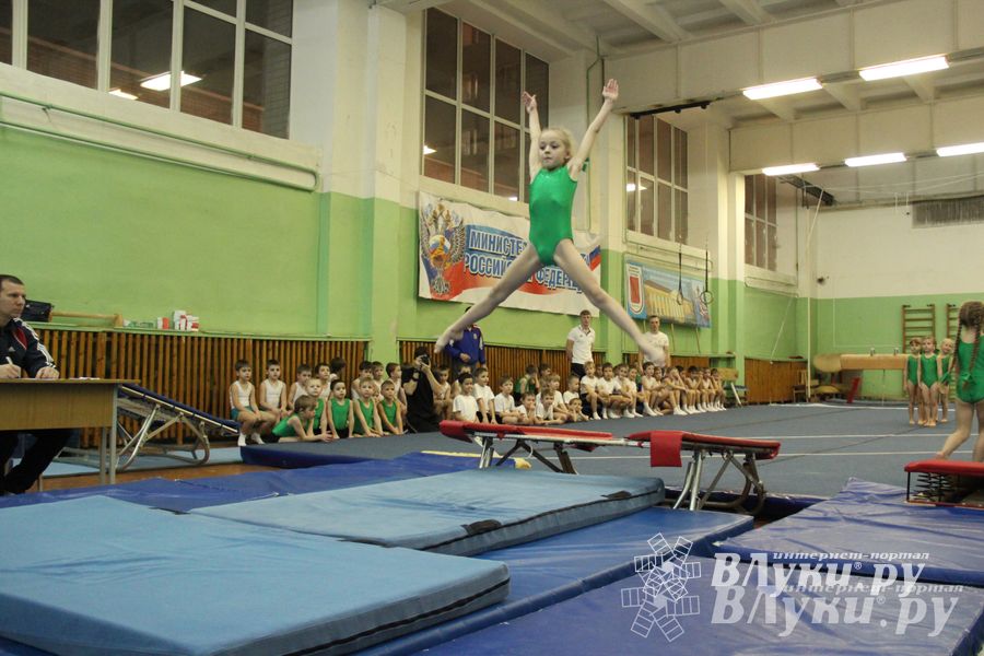 В Великих Луках состоялось Первенство по командной гимнастике (фото)