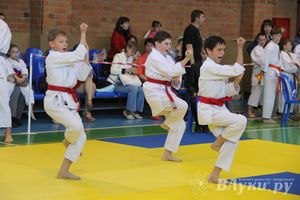 Великолучане стали победителями турнира по каратэ «Неприкосновенный запас, дети — Отчизны 2015» (фото)