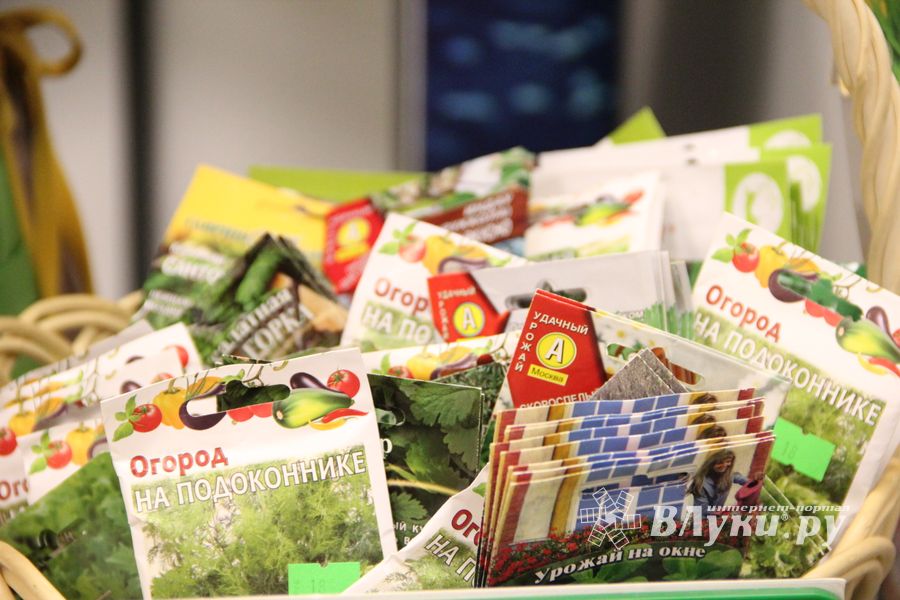 В ДК ЛК открылась 7-я Великолукская универсальная выставка (ФОТО, ВИДЕО)