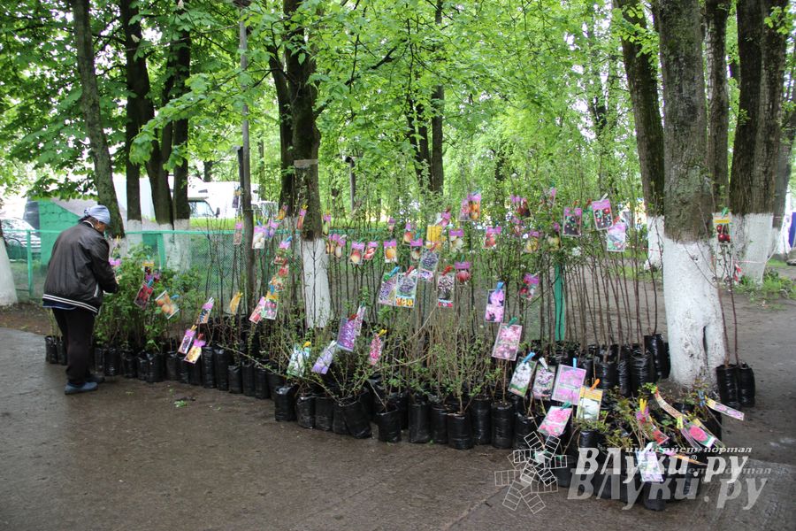 В Пскове проходит 22-ая универсальная выставка (фото)