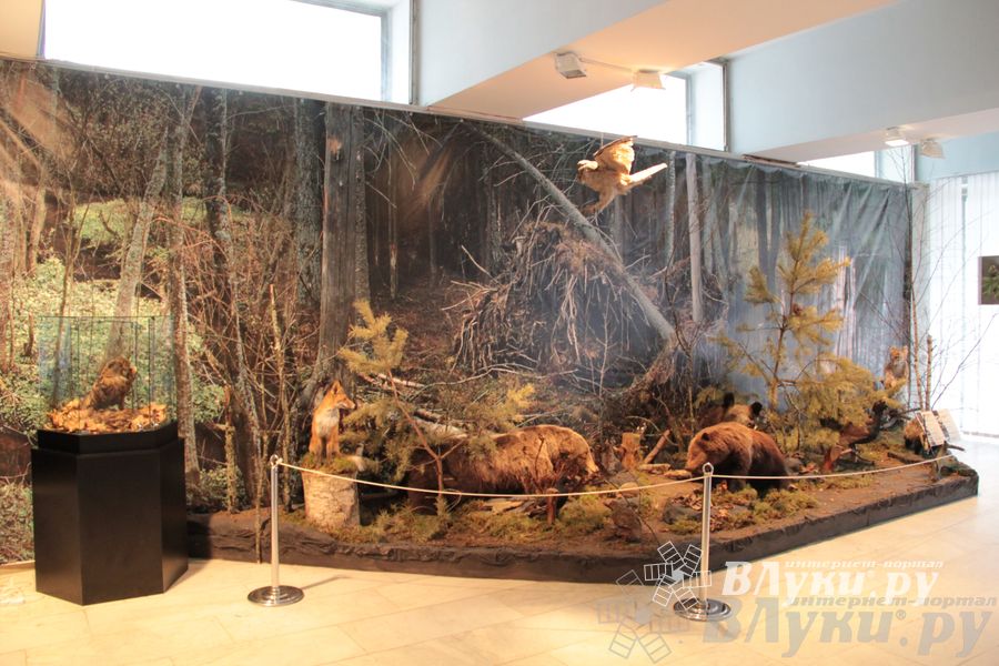 Обзор выставок Краеведческого музея