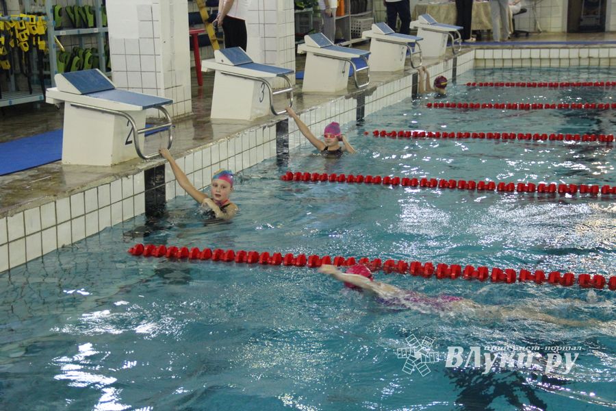 В Великих Луках прошло Первенство города по плаванию (фото)