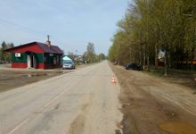 В поселке Кунья водитель «Рено» не смог разминуться с деревом (ФОТО)