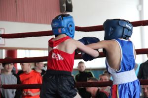 В Великих Луках прошло Первенство города по боксу (ФОТО)