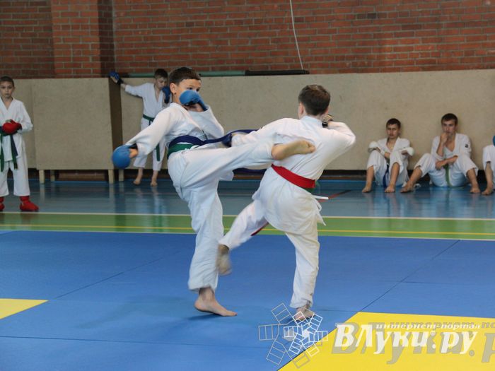 Турнир по каратэ «Неприкосновенный запас — дети Отчизны»