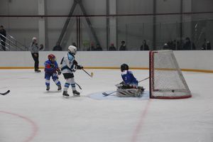 Детский турнир по хоккею прошел в Великих Луках (ФОТО)