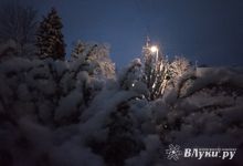 Сегодня в Великих Луках ожидается переменная облачность