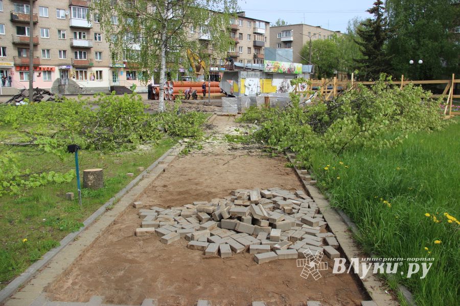 На площади Калинина убирают лишние деревья (ФОТО)