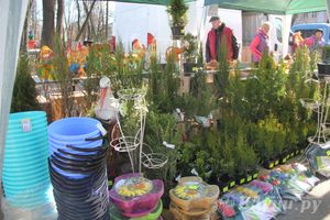 Универсальная торговая ярмарка «Весна-2015» прошла в Великих Луках (фото)