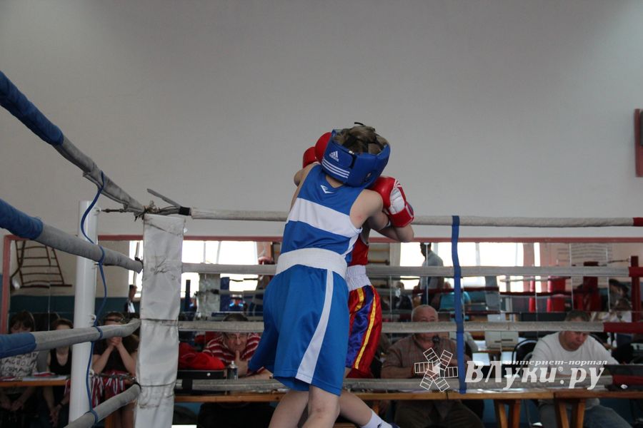 В Великих Луках прошло Первенство города по боксу (ФОТО)