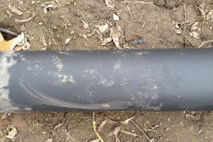  Вандалы повалили светильники на набережной Псковы (фото)