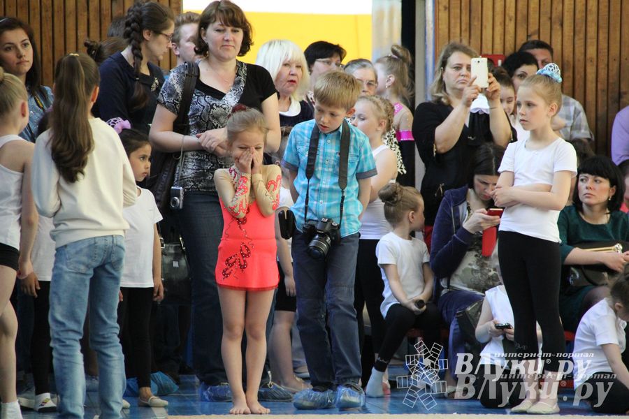 В Великих Луках прошло Первенство по художественной гимнастике (фото)