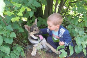 Объявляем победителей фотоконкурса «Косточка к Новому году» (ФОТО)