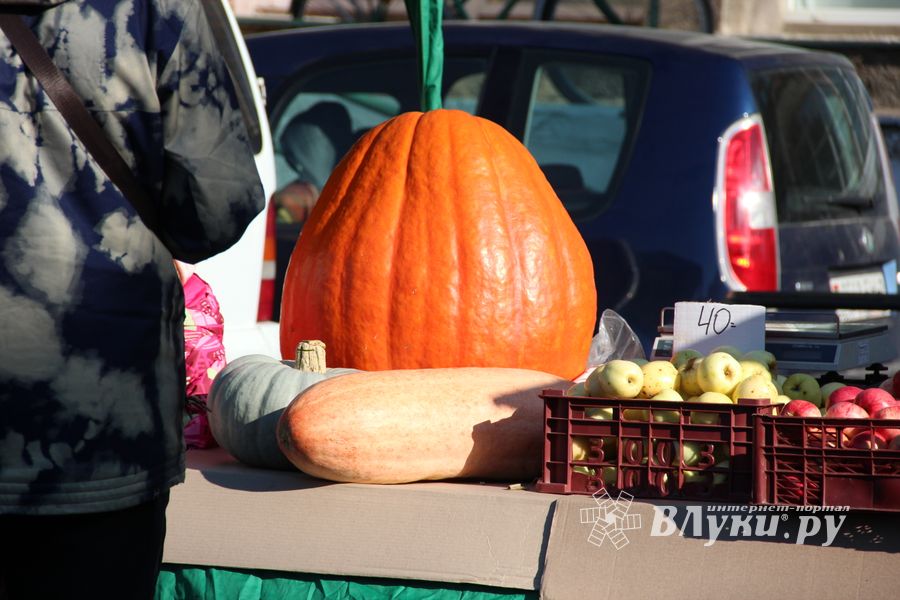 В Великих Луках прошла универсальная осенняя ярмарка (ФОТО)