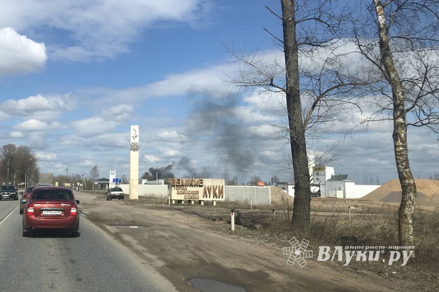 В Псковской области возобновились палы травы (ФОТО)