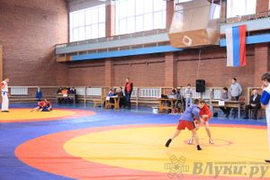 Состоялось Открытое первенство города Великие Луки по борьбе самбо