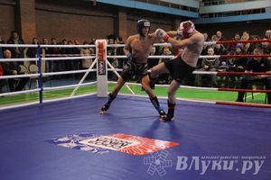 В Великих Луках прошел межрегиональный Открытый Кубок по смешанному боевому единоборству (фото)