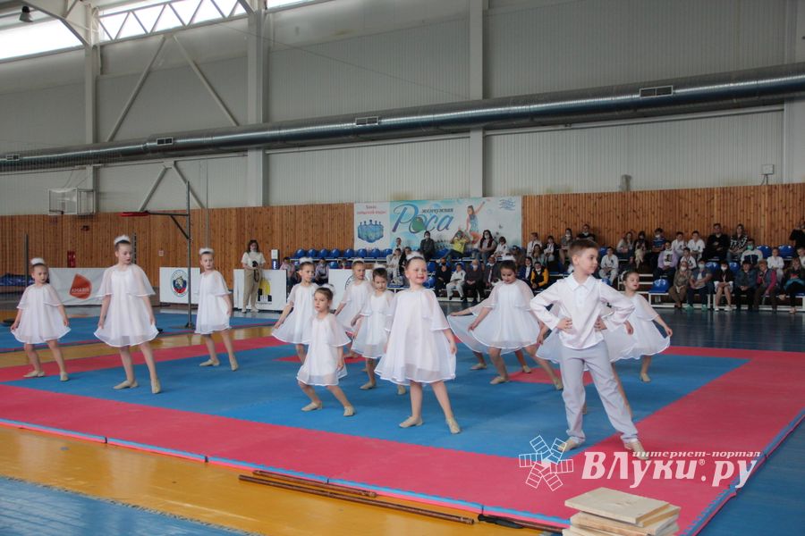 В Великих Луках состоялся Чемпионат и первенство Псковской области по тхэквондо МФТ (ФОТО)