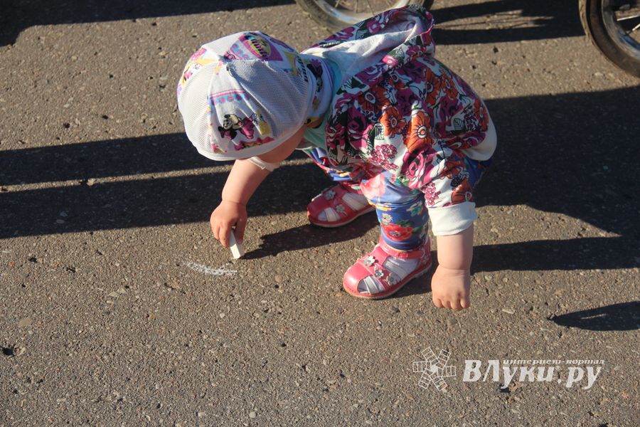 Праздничный салют в честь Дня Победы был дан в Великих Луках (ФОТО)