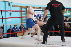 Чемпионат Псковской области по ММА