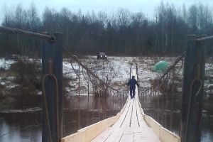 В Великолукском районе снегопады отрезали деревню от цивилизации (ФОТО)