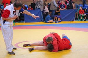 В Великих Луках проходит турнир по самбо (ФОТО)