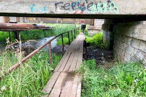 Великолучанка собралась жаловаться Путину на опасный Лазавицкий переезд (ФОТО)