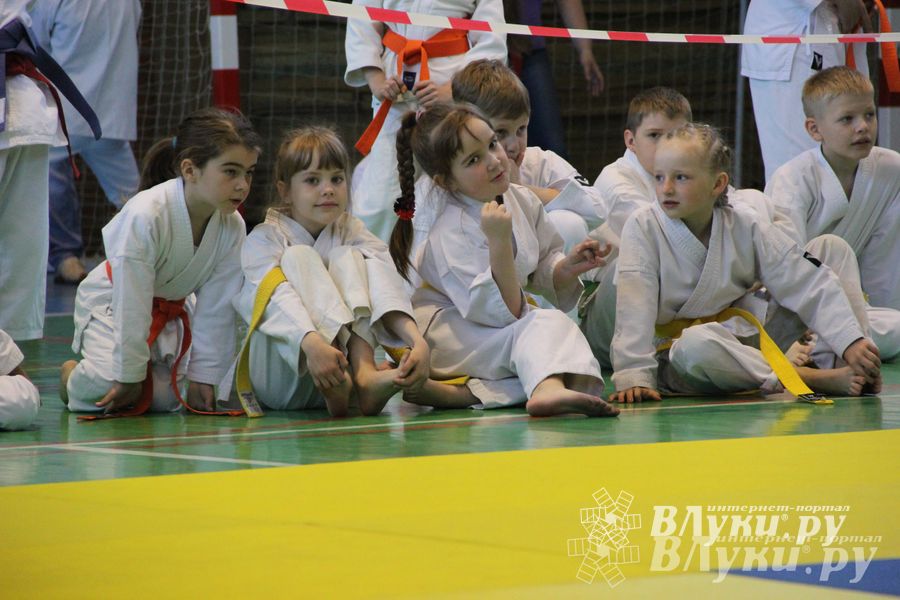 Великолучане стали победителями турнира по каратэ «Неприкосновенный запас, дети — Отчизны 2015» (фото)
