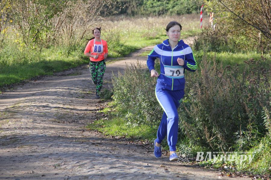 Легкоатлетический осенний кросс прошел в Великих Луках (фоторепортаж)