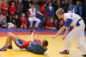 Открытый турнир по самбо «Новогодняя звезда-2019» прошел в Великих Луках (ФОТО)