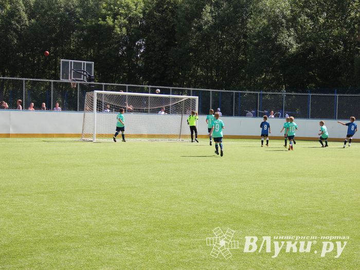 В Великих Луках прошёл Олимпийский День (ФОТО)