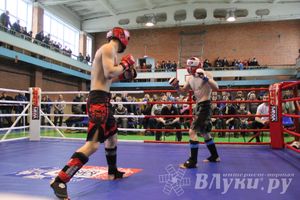 В Великих Луках прошел межрегиональный Открытый Кубок по смешанному боевому единоборству (фото)