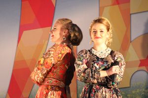 ​Праздничным концертом и салютом завершились празднования Дня Победы в Великих Луках (фото)