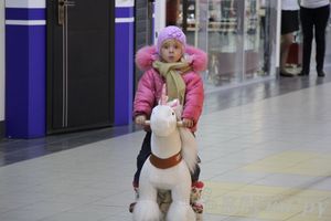 Спортивный клуб «С-фитнес» провел «Фитнес-Фестиваль» (фото)